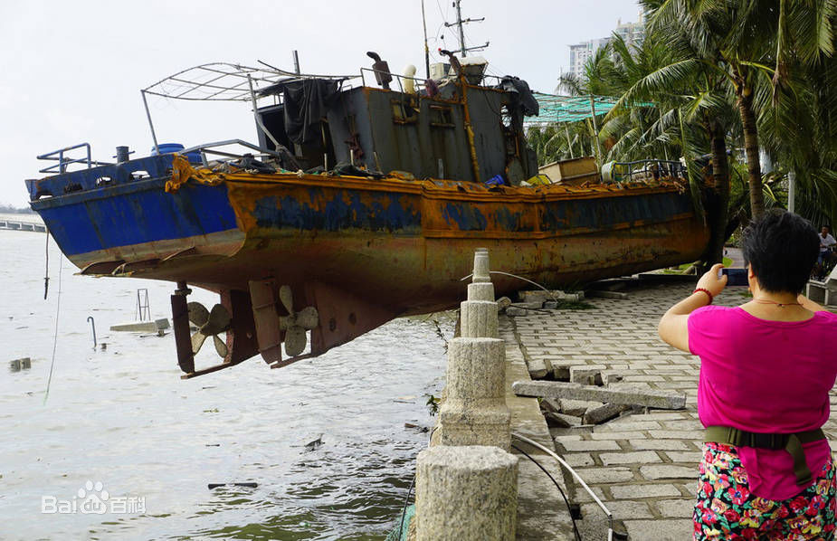 台风天鸽(Typhoon Hato)珠海:天鸽过后一片狼藉 船上岸 车下海图片图册