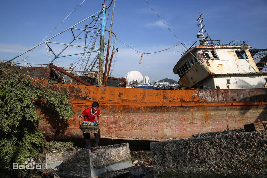 台风天鸽(Typhoon Hato)珠海:天鸽过后一片狼藉 船上岸 车下海图片图册