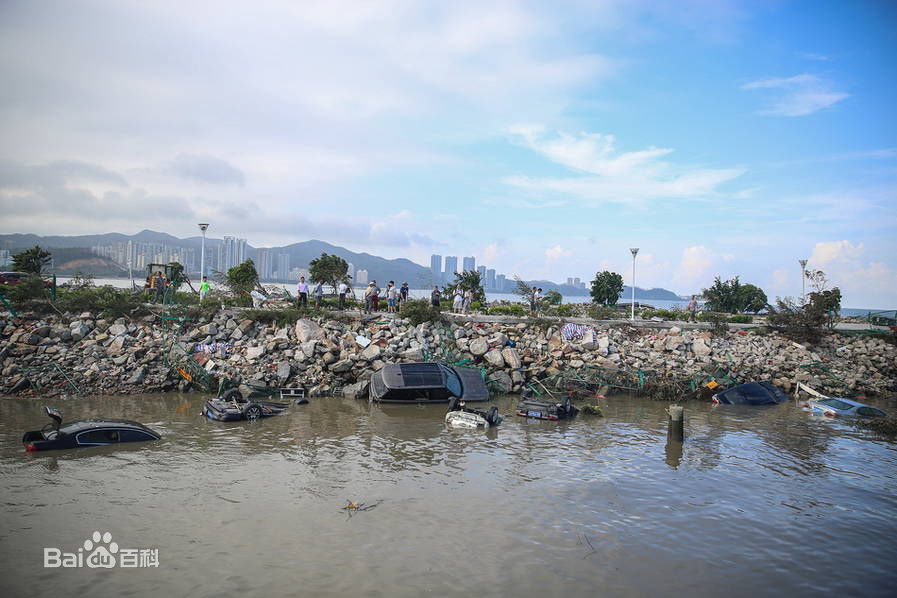 台风天鸽(Typhoon Hato)珠海:天鸽过后一片狼藉 船上岸 车下海图片图册