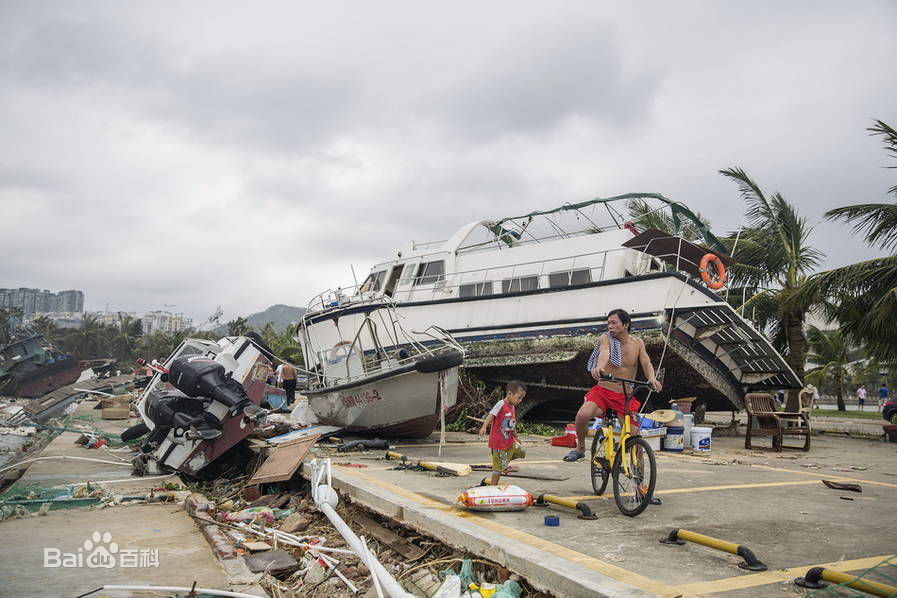 台风天鸽(Typhoon Hato)珠海:天鸽过后一片狼藉 船上岸 车下海图片图册