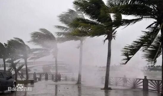 台风天鸽(Typhoon Hato)前后照片