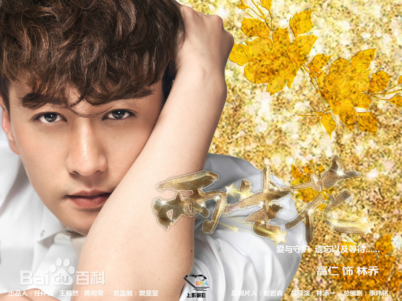 高仁花朵恋仁性感图片图集