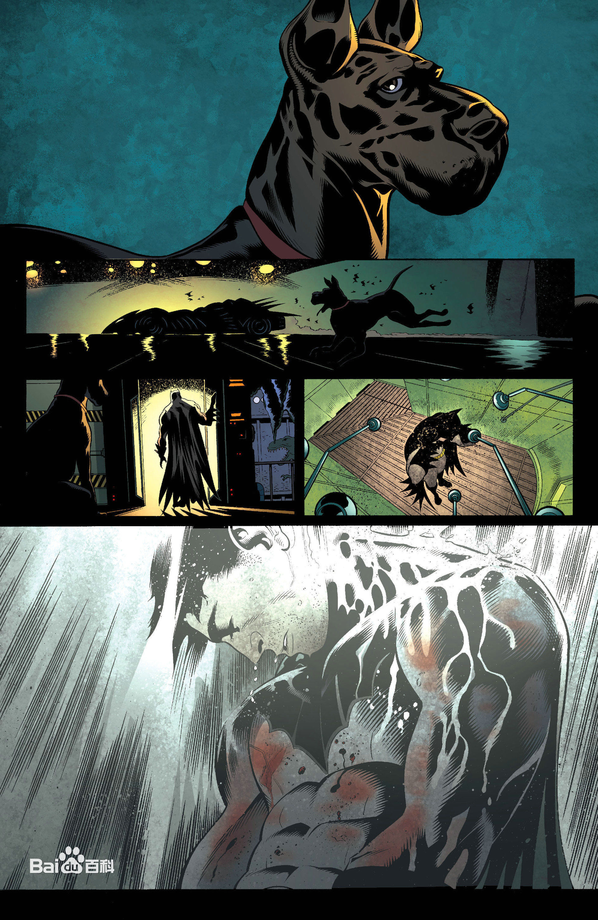 布鲁斯·韦恩(Bruce Wayne)达米安给布鲁斯的信性感图片图集