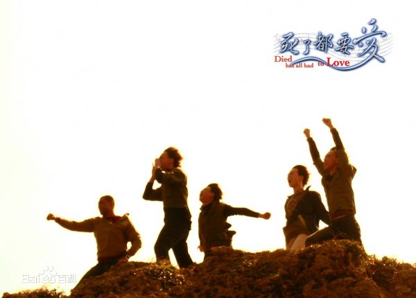 信乐团(Shin)最优质海报相册