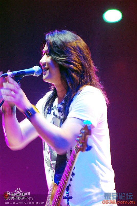 信乐团(Shin)2010年泰山国际音乐节壁纸壁纸