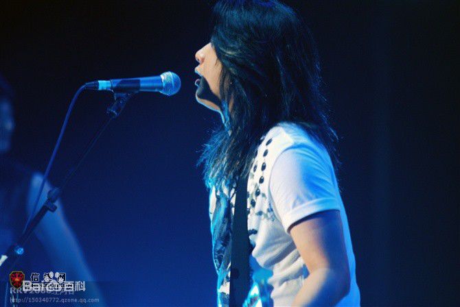 信乐团(Shin)2010年泰山国际音乐节壁纸壁纸