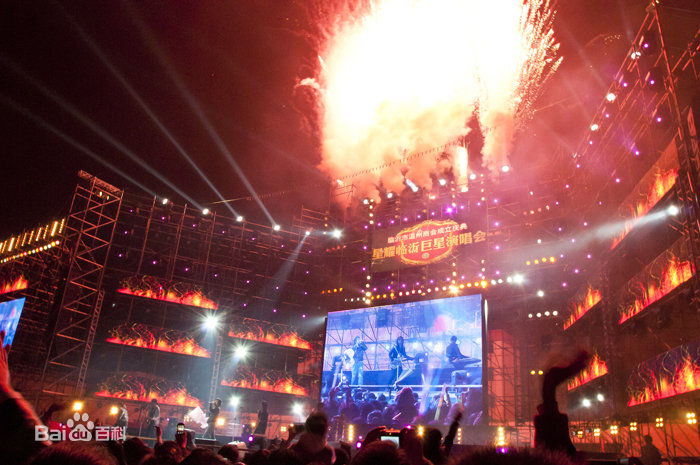 信乐团(Shin)2010年星耀临沂演唱会壁纸壁纸