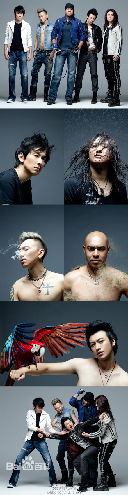 最优质信乐团(Shin)精彩图册