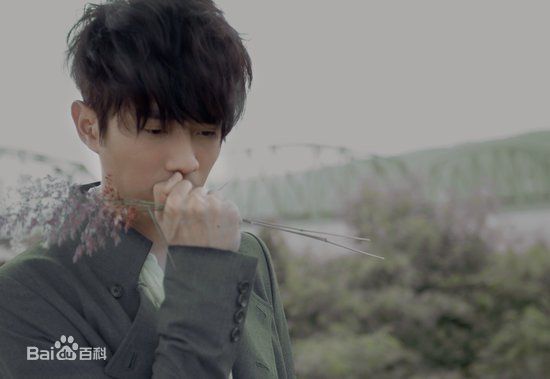 高清张栋梁(Nicholas Teo)性感图片