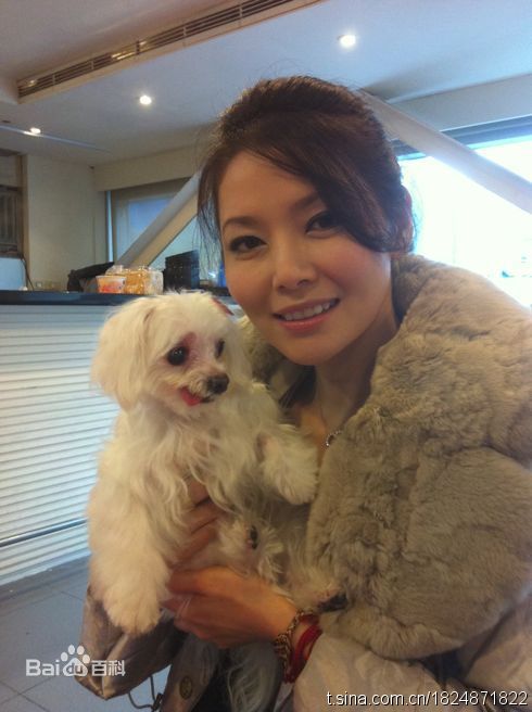 向语洁生活照素颜照相册