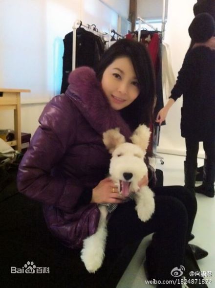 向语洁生活照素颜照相册