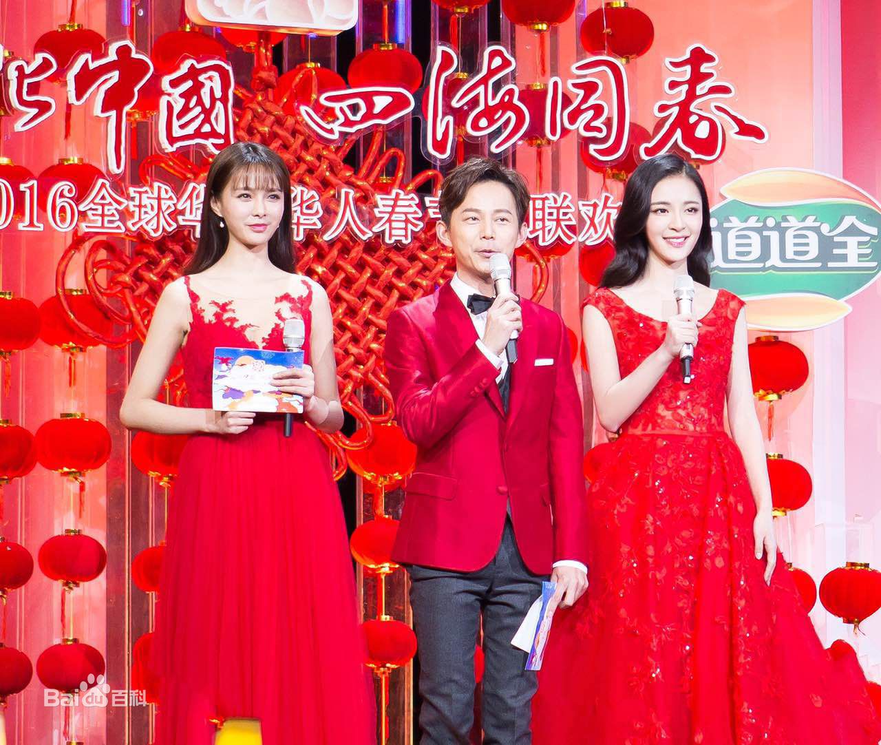 李莎旻子主持经历壁纸壁纸