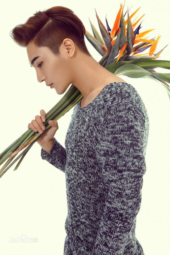 翁航融(Henry)宣传照图册