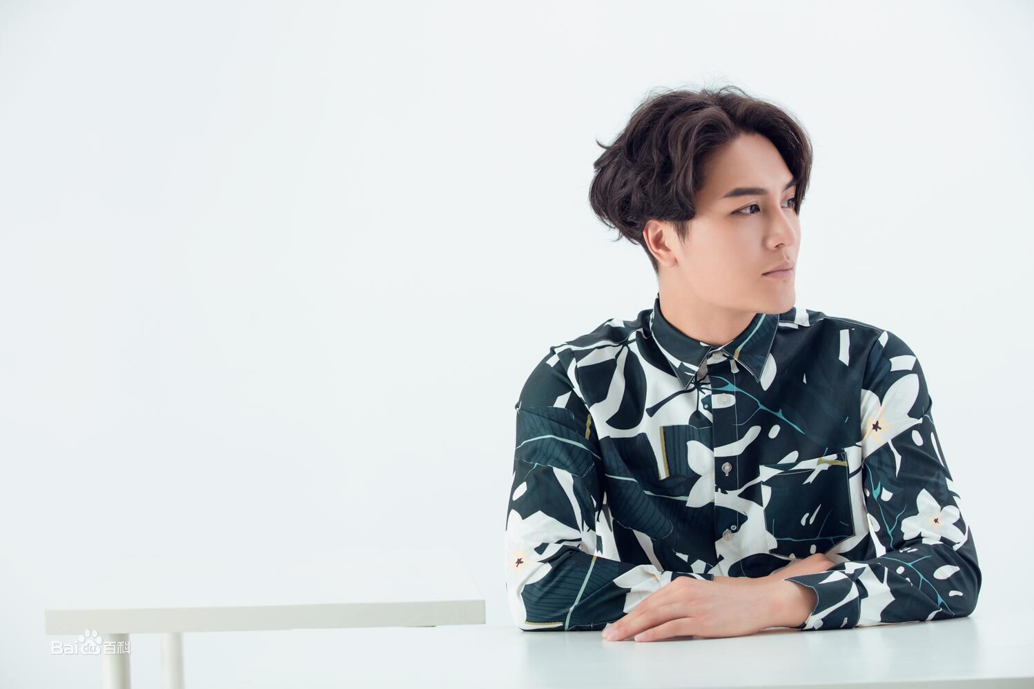 翁航融(Henry)宣传照图册