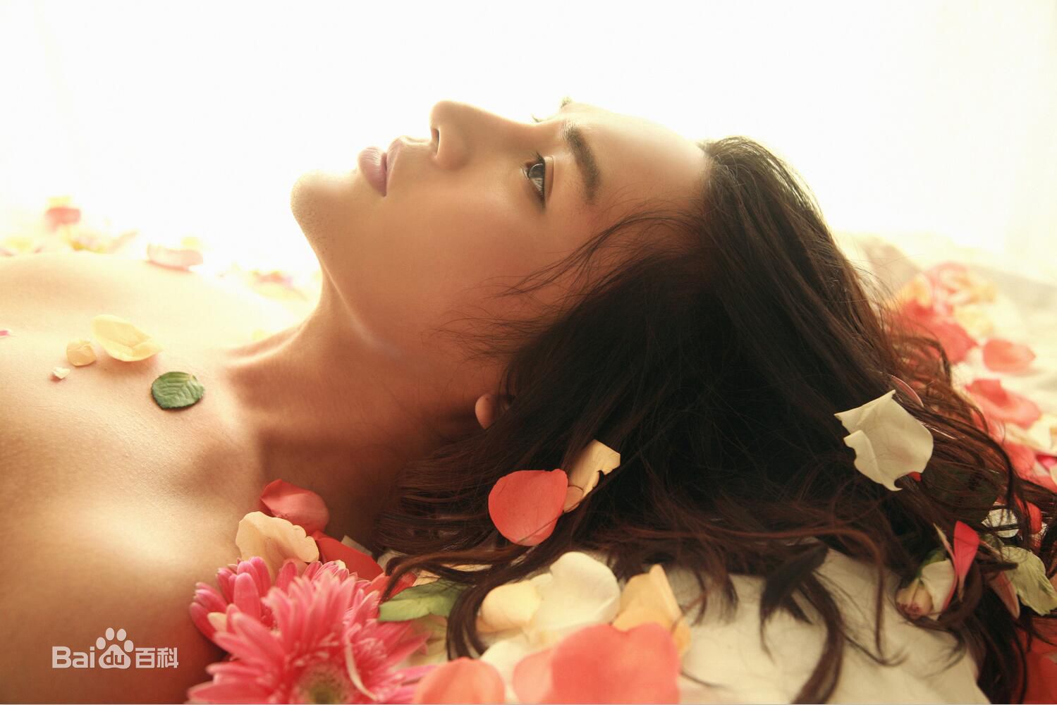 翁航融(Henry)宣传照图册