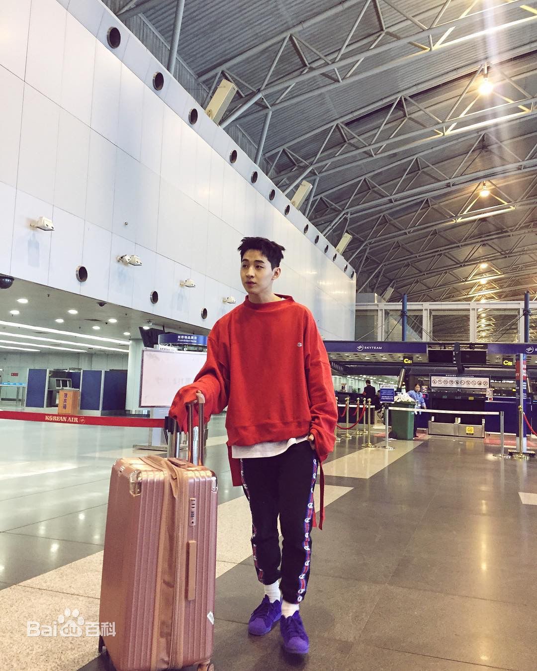 刘宪华(Henry Lau、)机场图壁纸壁纸