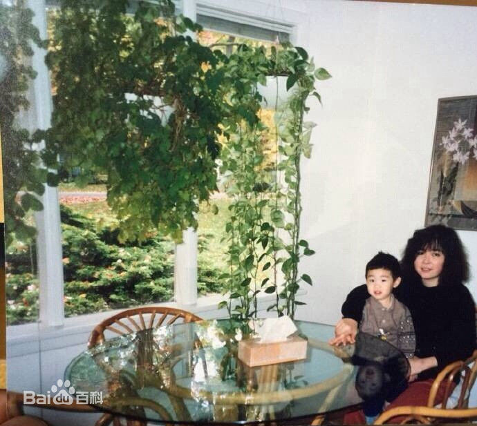 刘宪华(Henry Lau、)童年Henry壁纸壁纸