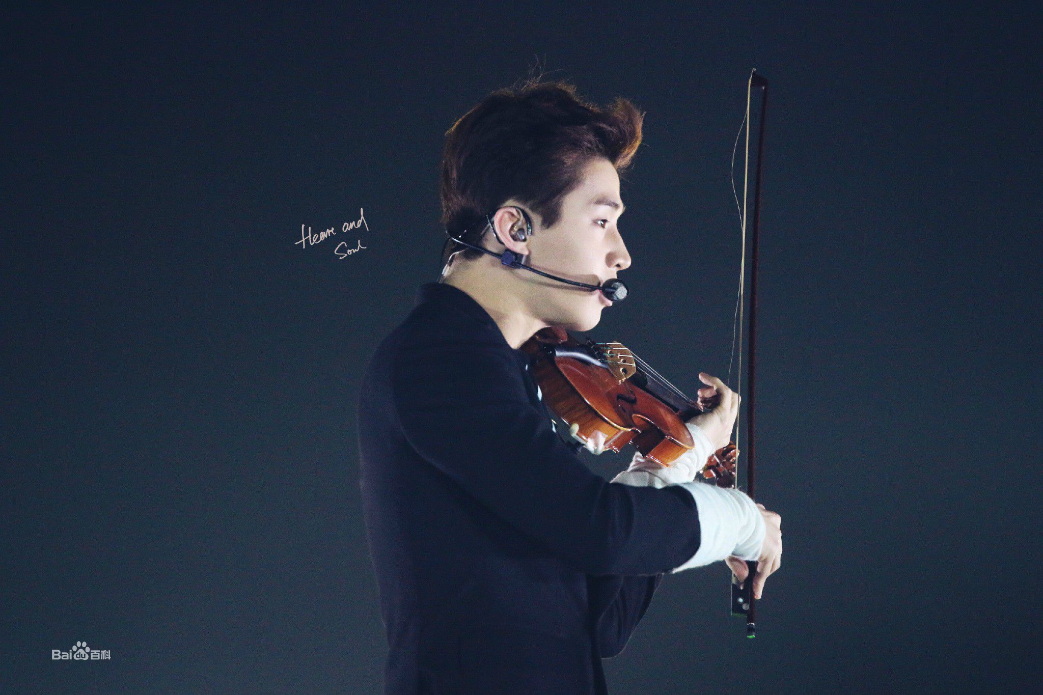 刘宪华(Henry Lau、)演出舞台图册