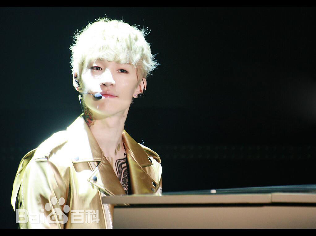 刘宪华(Henry Lau、)演出舞台图册