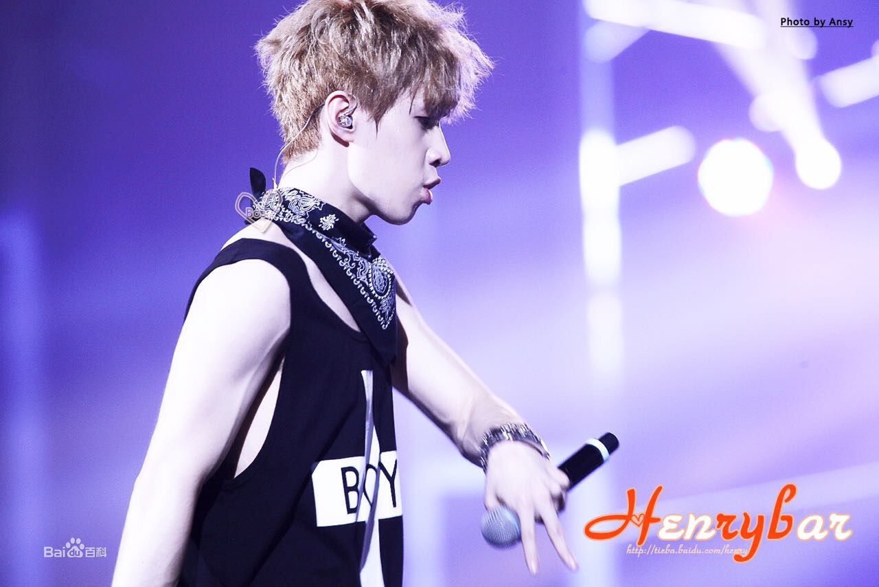 刘宪华(Henry Lau、)演出舞台图册