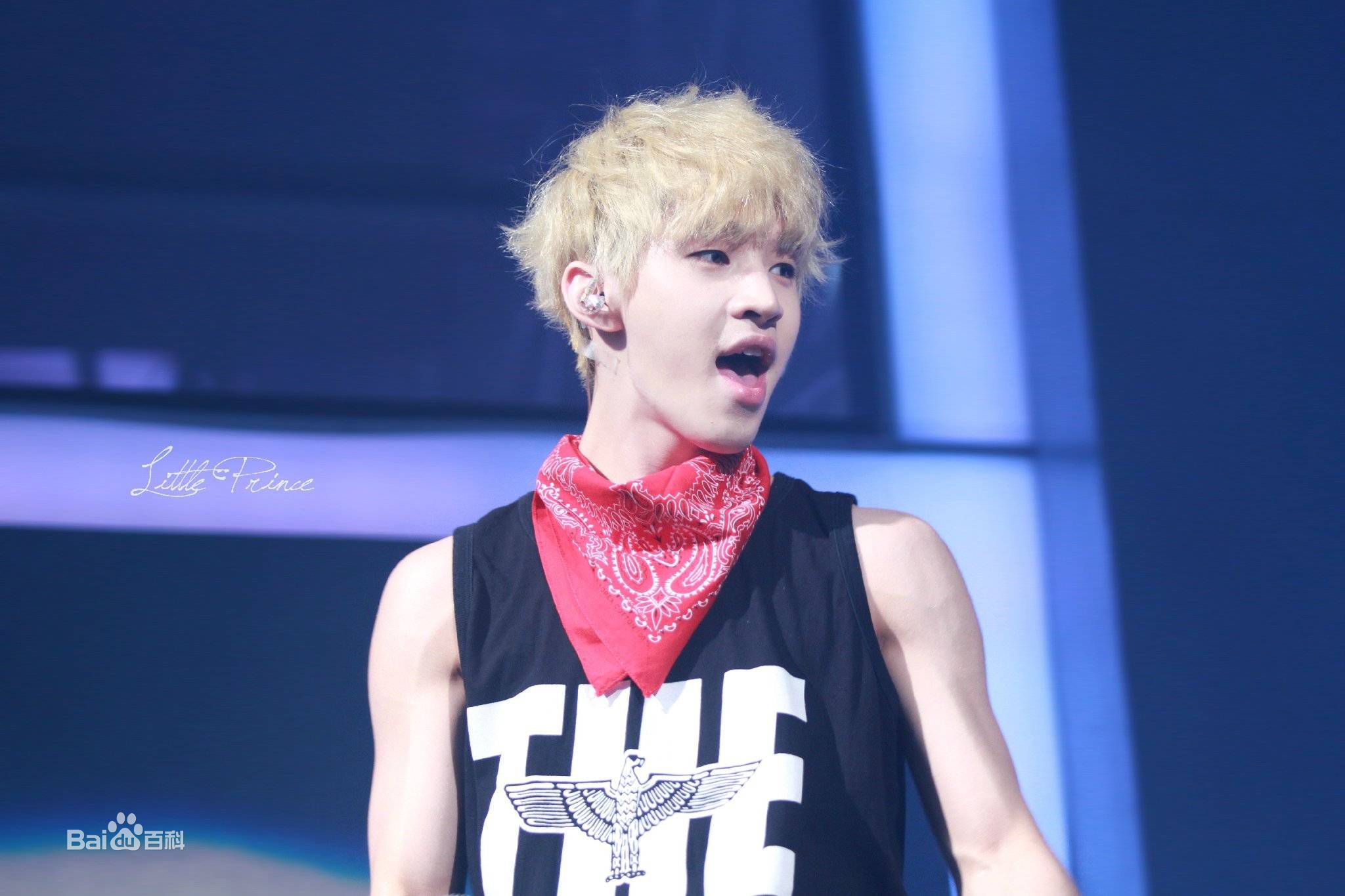 刘宪华(Henry Lau、)演出舞台图册