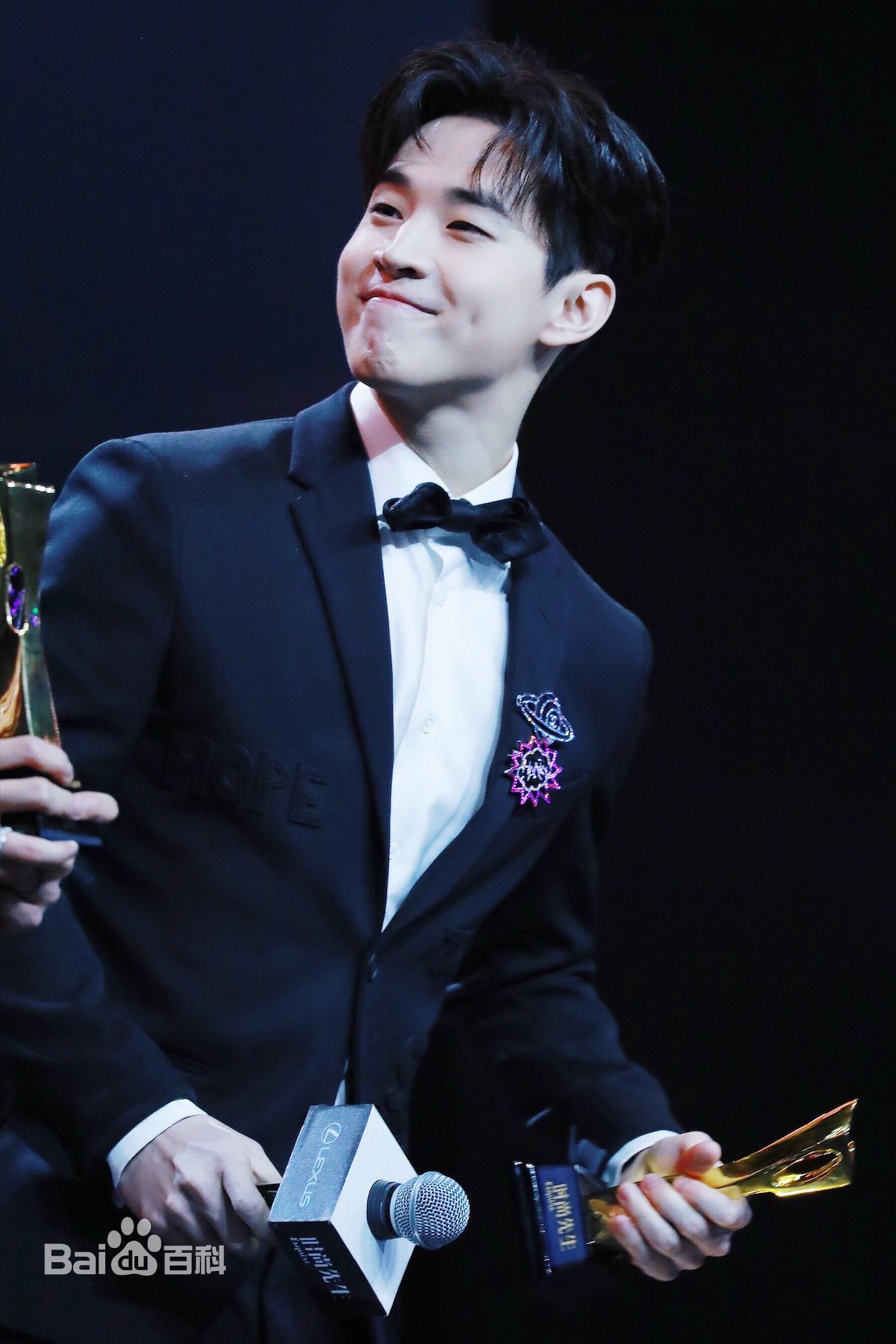 刘宪华(Henry Lau、)MAHB年度先生盛典性感图片图集