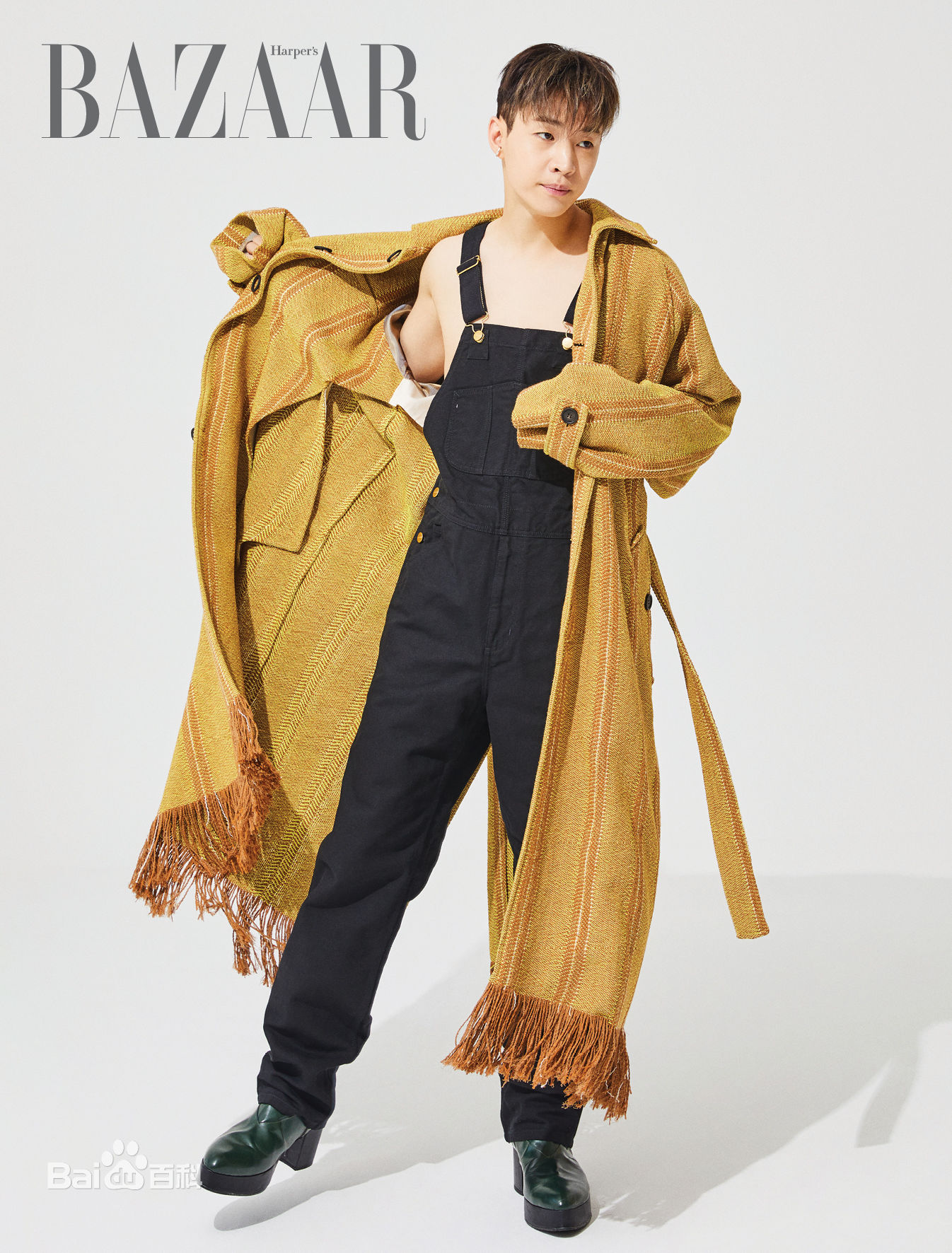 刘宪华(Henry Lau、)精选BAZAAR图册