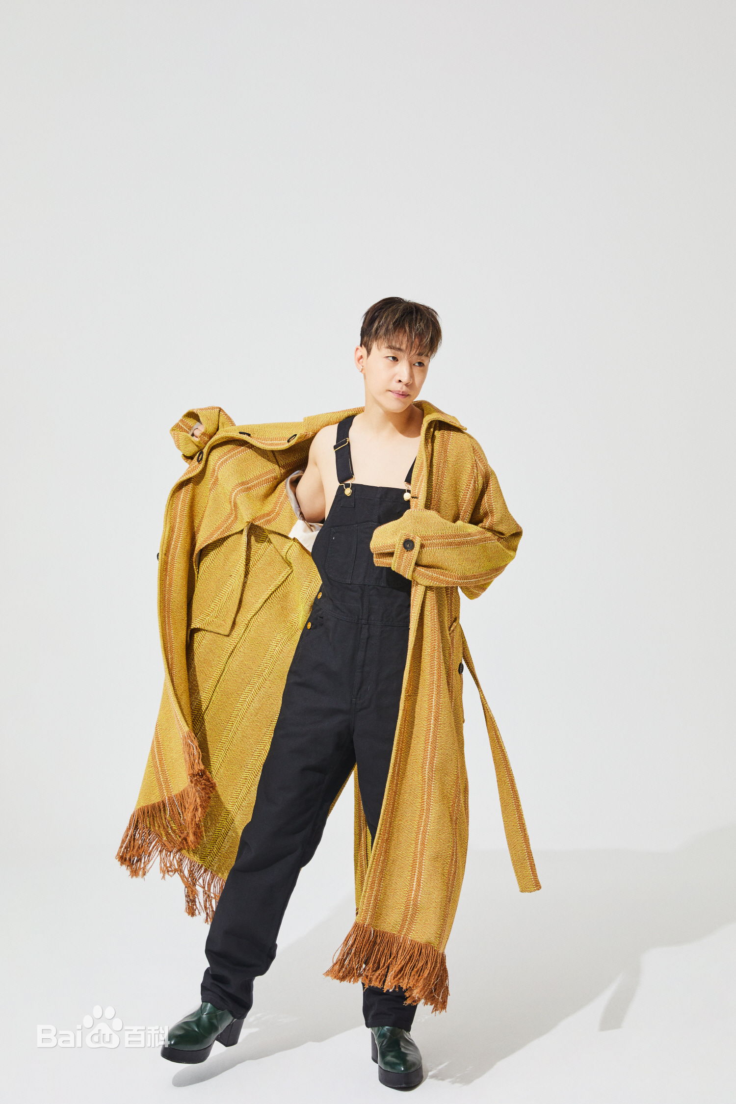 刘宪华(Henry Lau、)精选BAZAAR图册