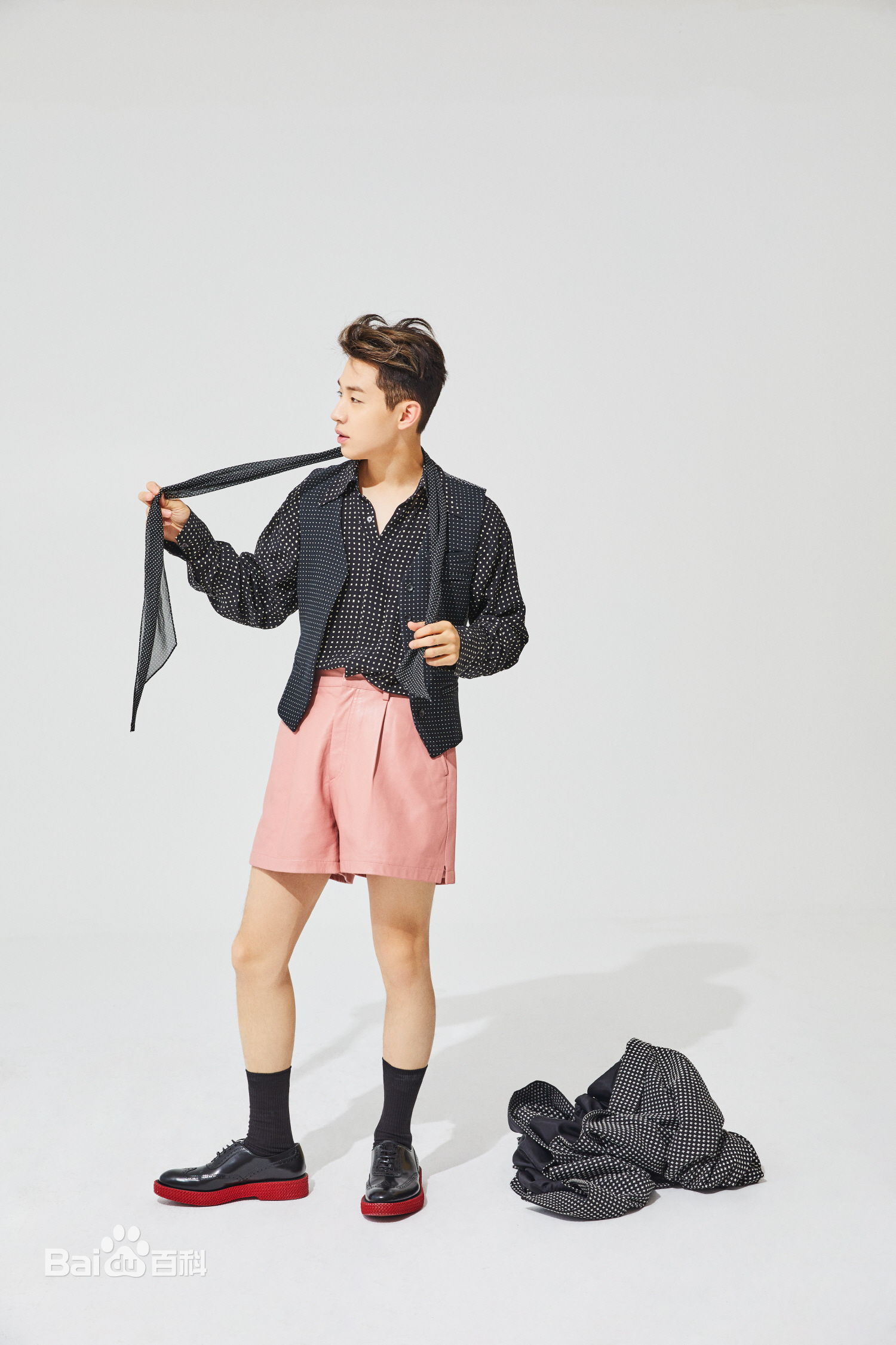 刘宪华(Henry Lau、)精选BAZAAR图册