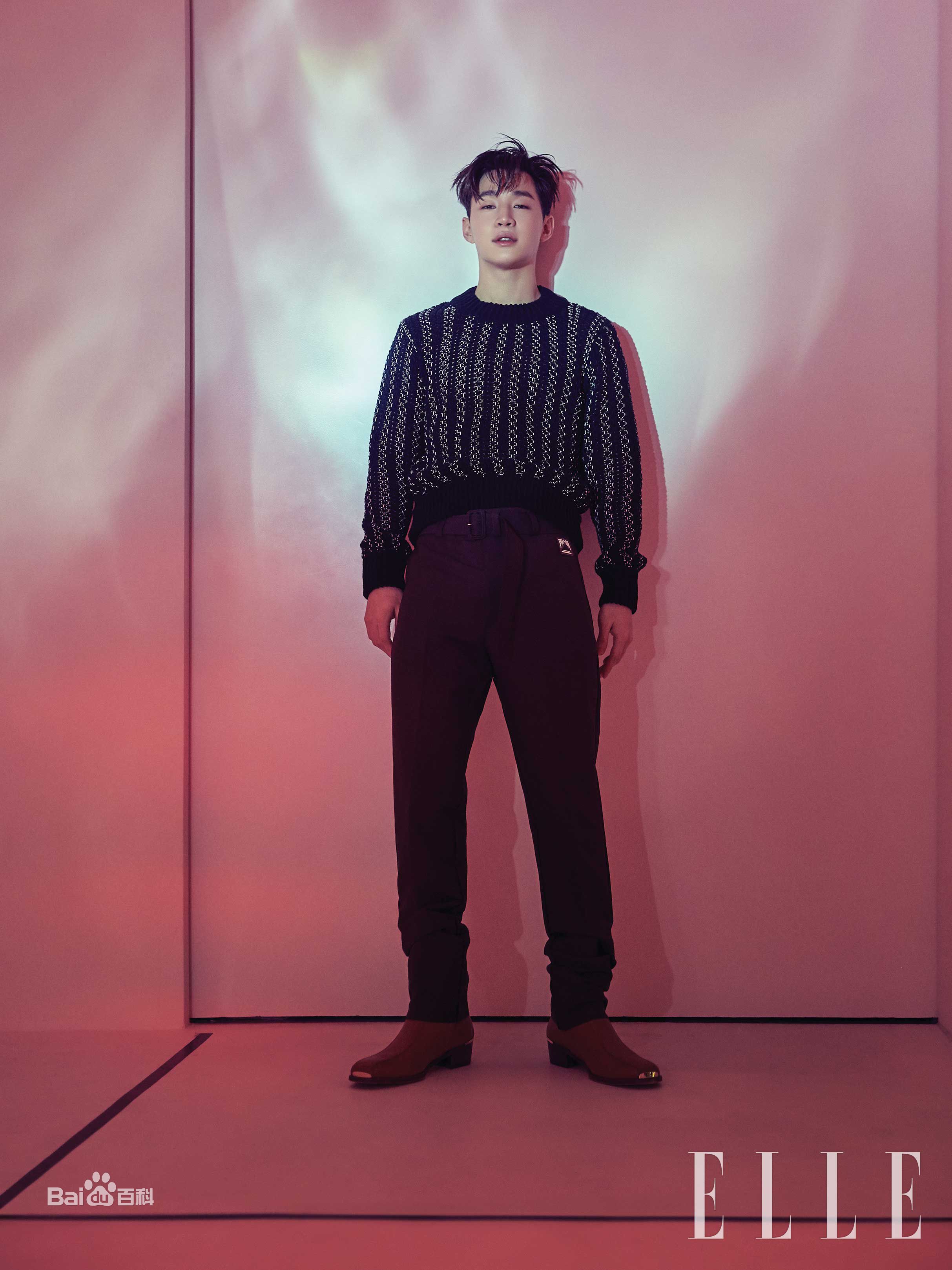 刘宪华(Henry Lau、)最全ELLE壁纸