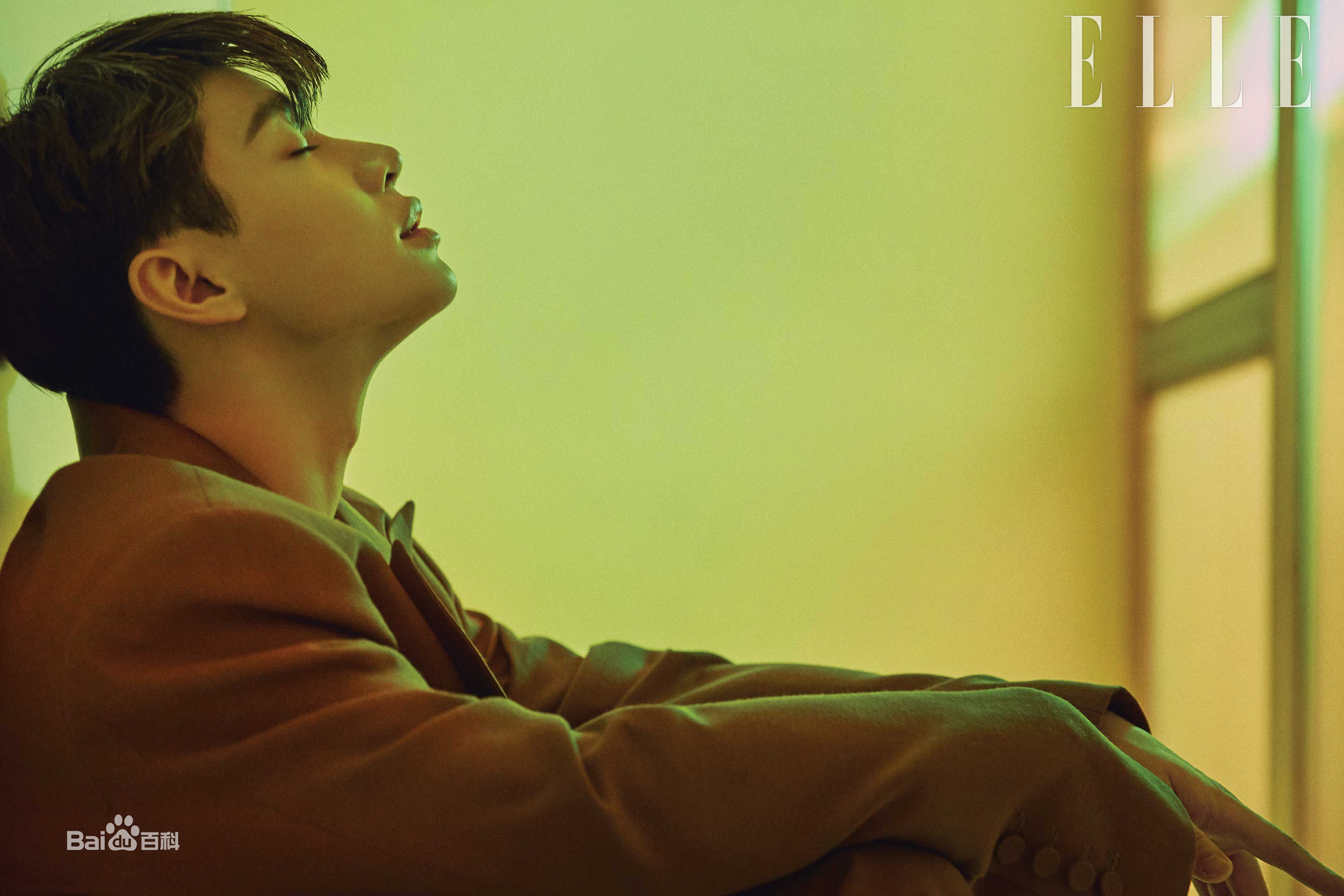 刘宪华(Henry Lau、)最全ELLE壁纸