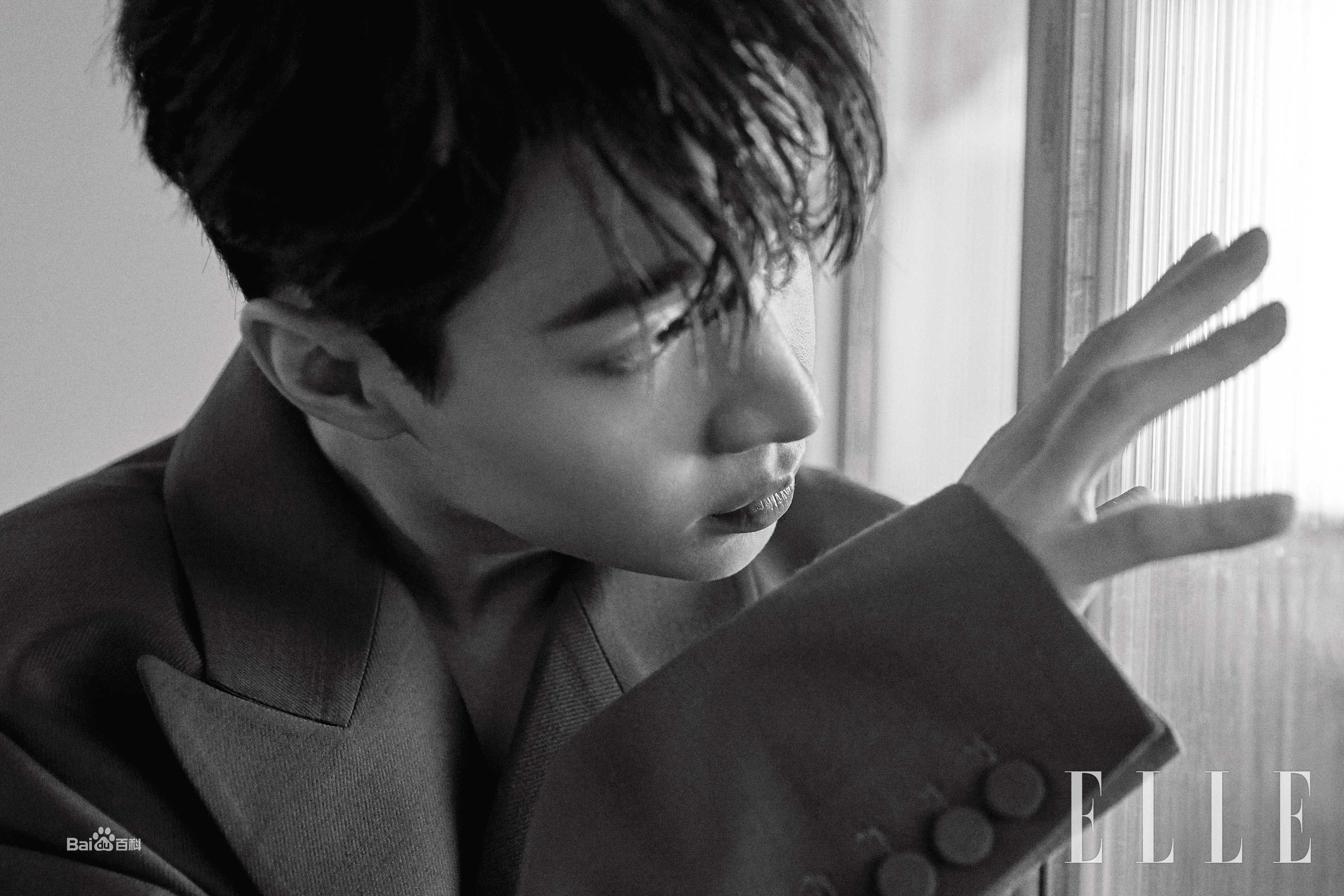 刘宪华(Henry Lau、)最全ELLE壁纸