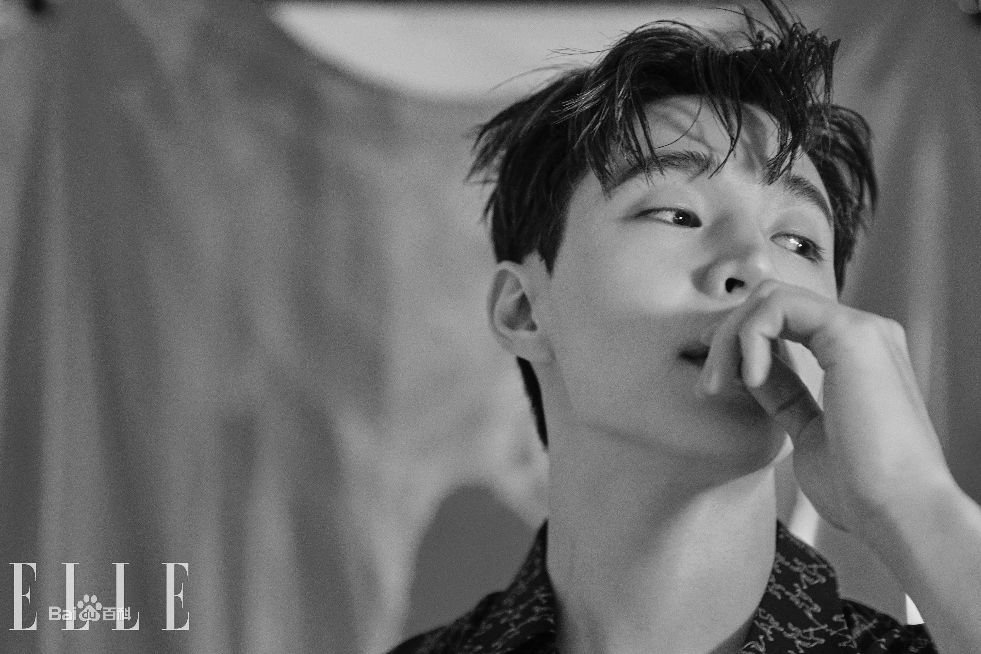 刘宪华(Henry Lau、)最全ELLE壁纸