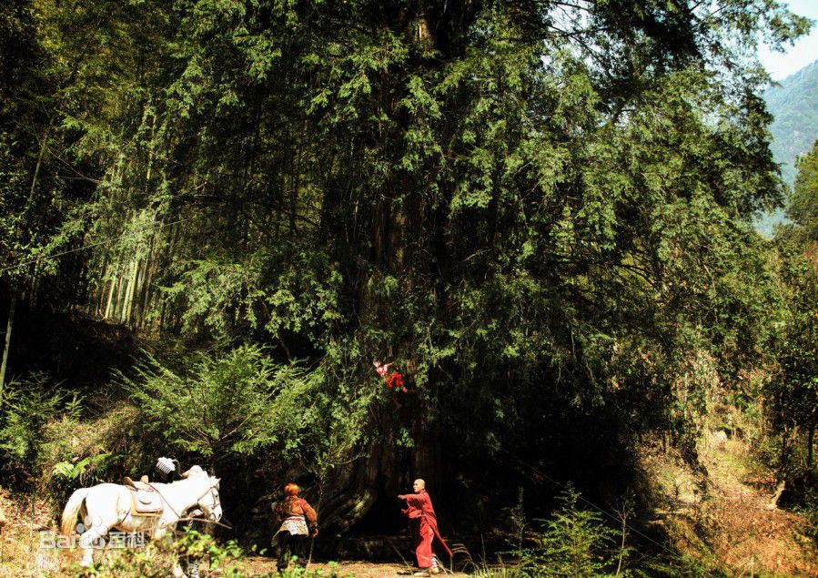 苗雅宁(Samuel)张纪中版《西游记》剧照