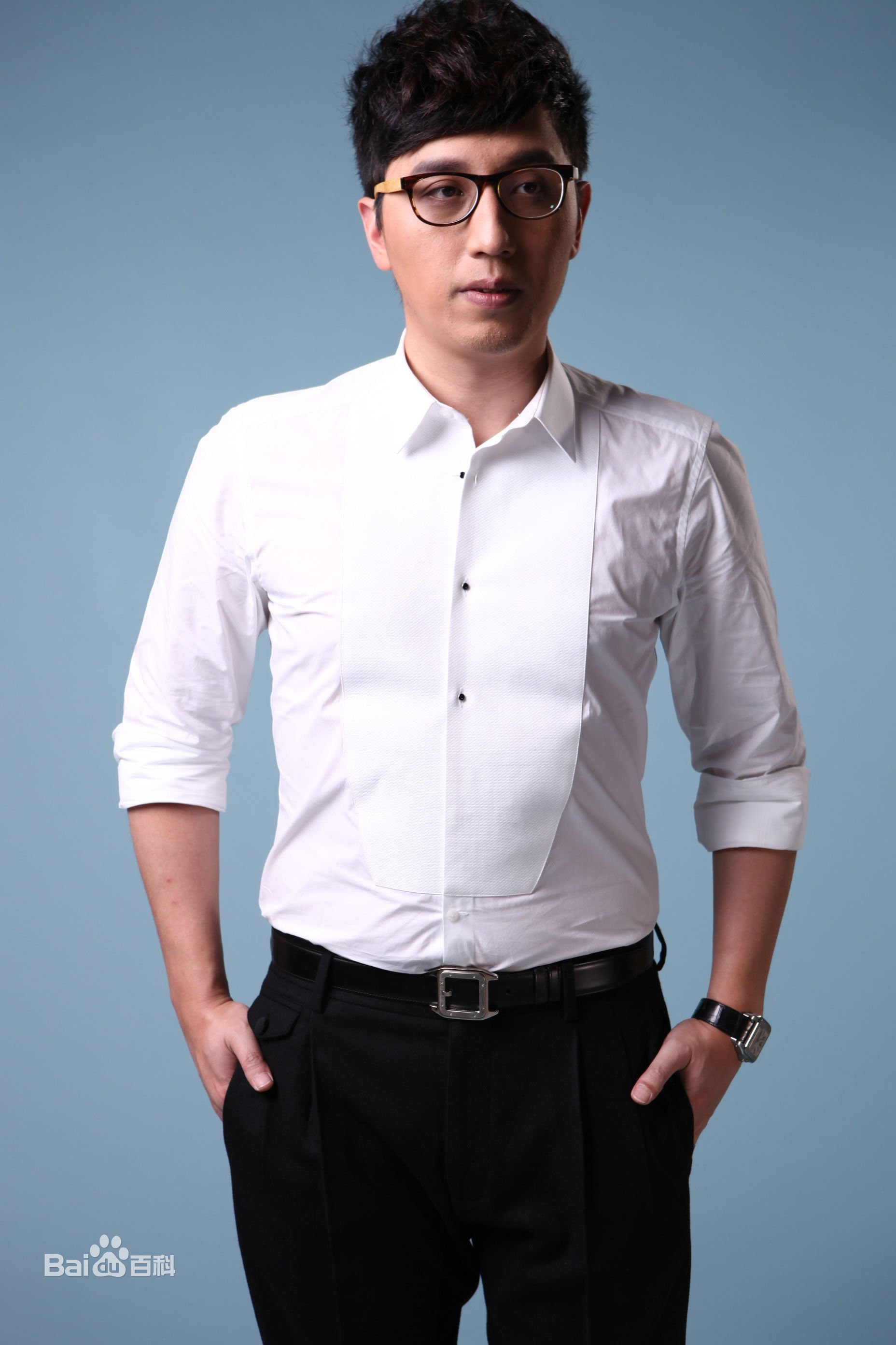 胡乔华高清华少图集