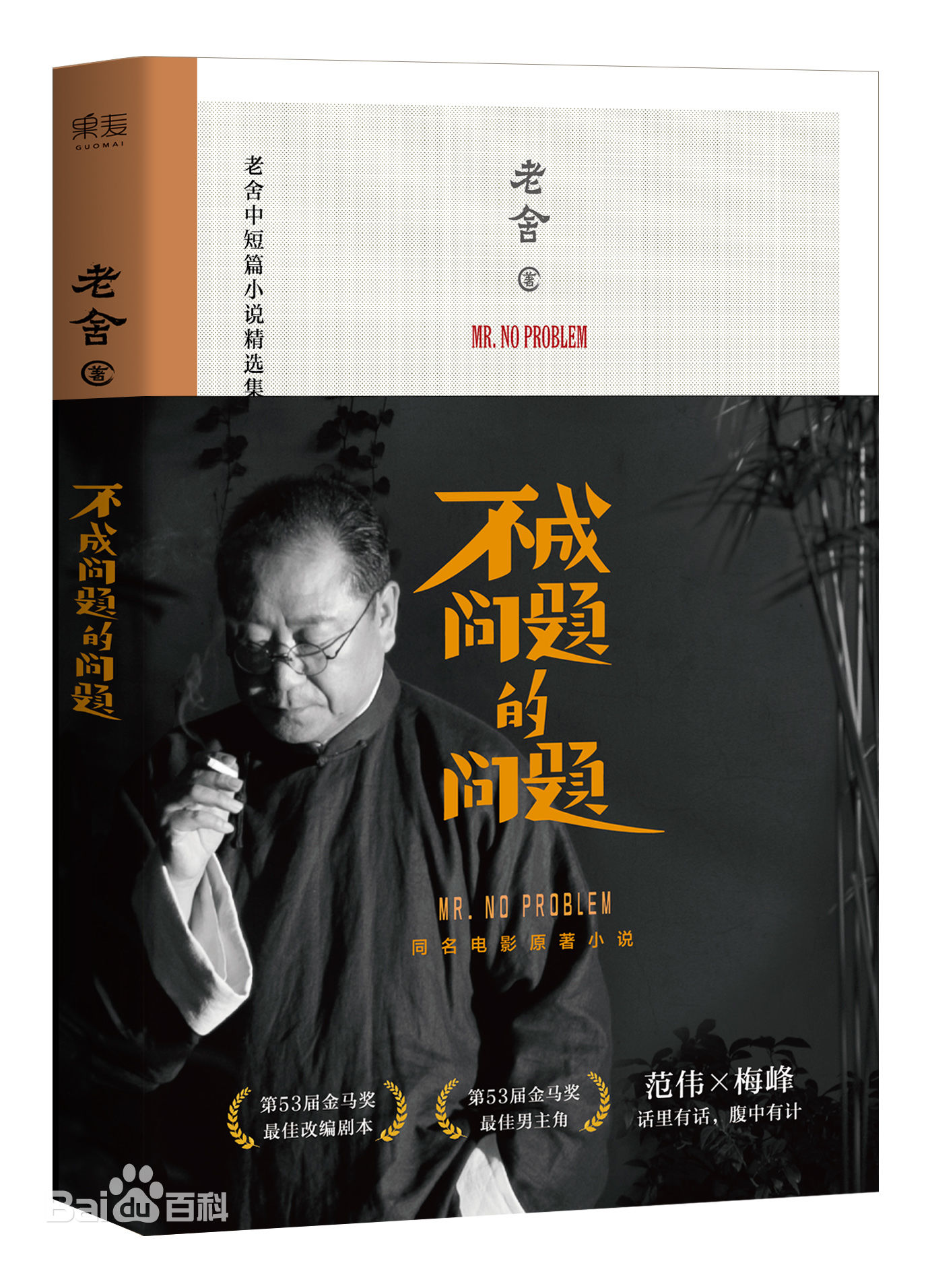 最优质梅峰在《不成问题的问题》电影同名小说中的相册