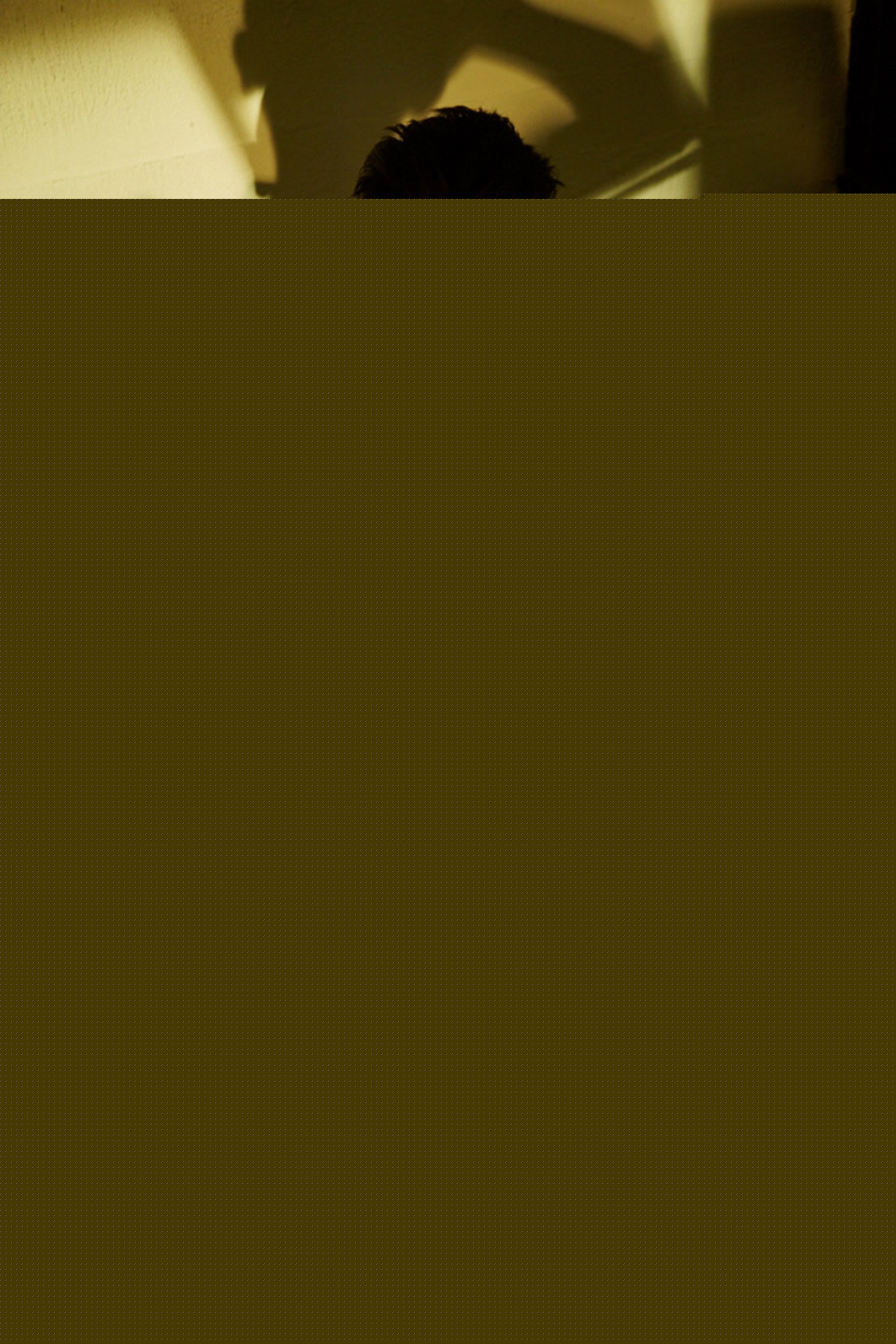 刘端端演艺图锦图册