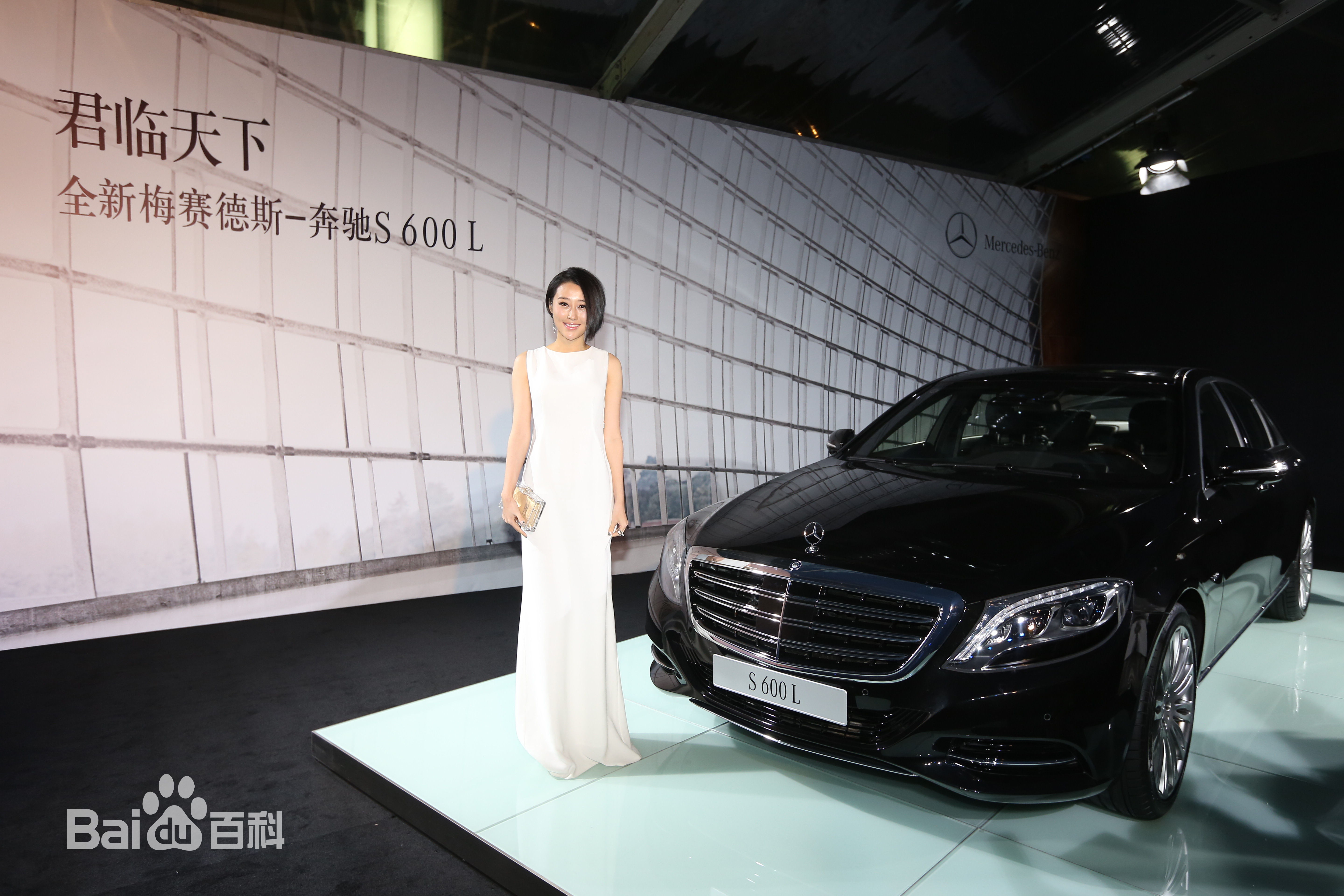 马梓涵(Ivy)2014年芭莎男士盛典图册