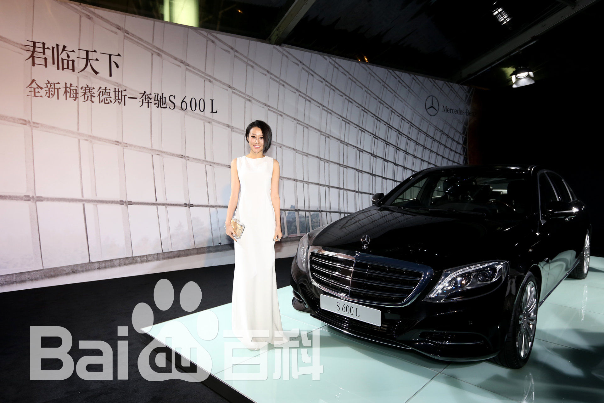 马梓涵(Ivy)2014年芭莎男士盛典图册