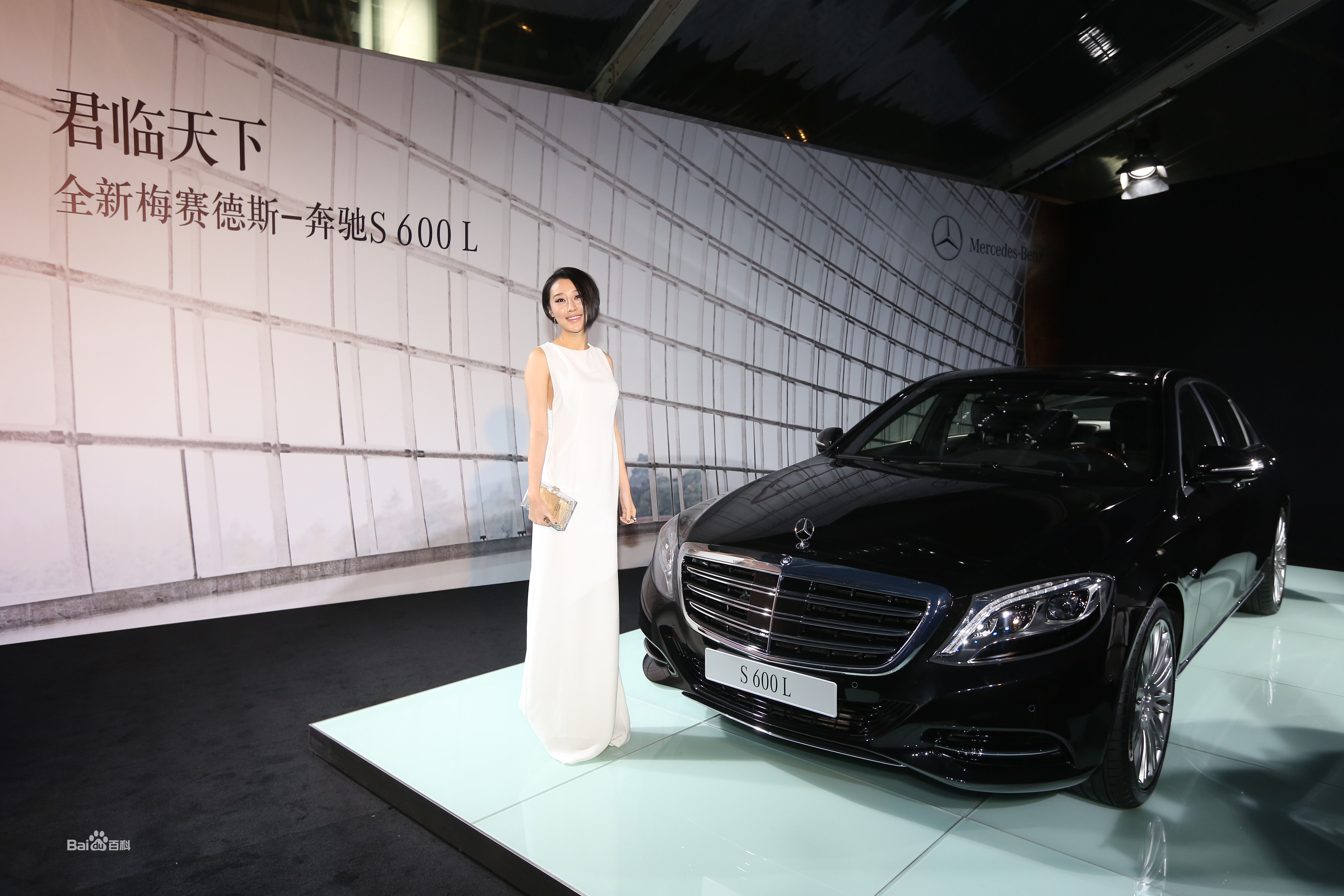 马梓涵(Ivy)2014年芭莎男士盛典图册