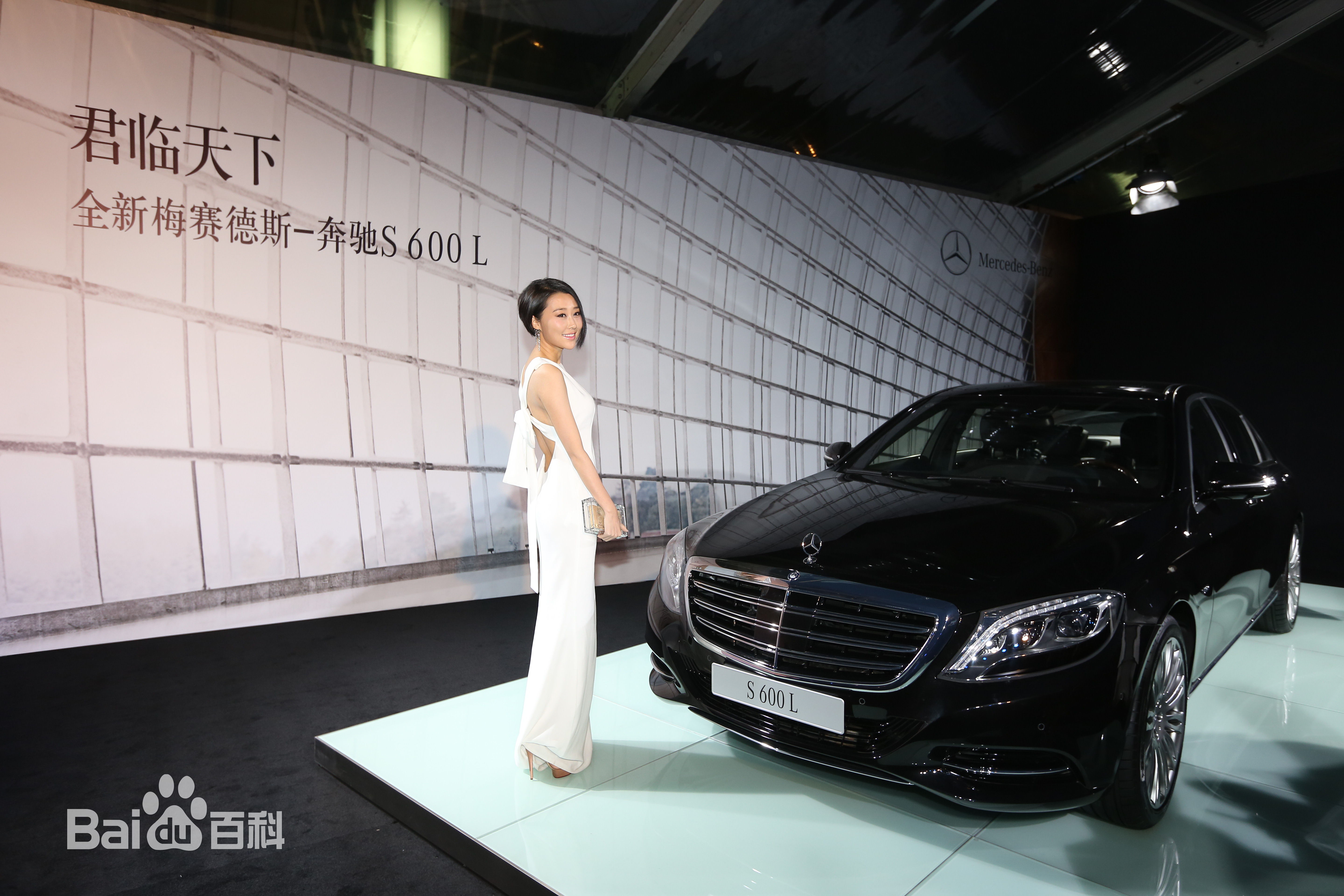 马梓涵(Ivy)2014年芭莎男士盛典图册