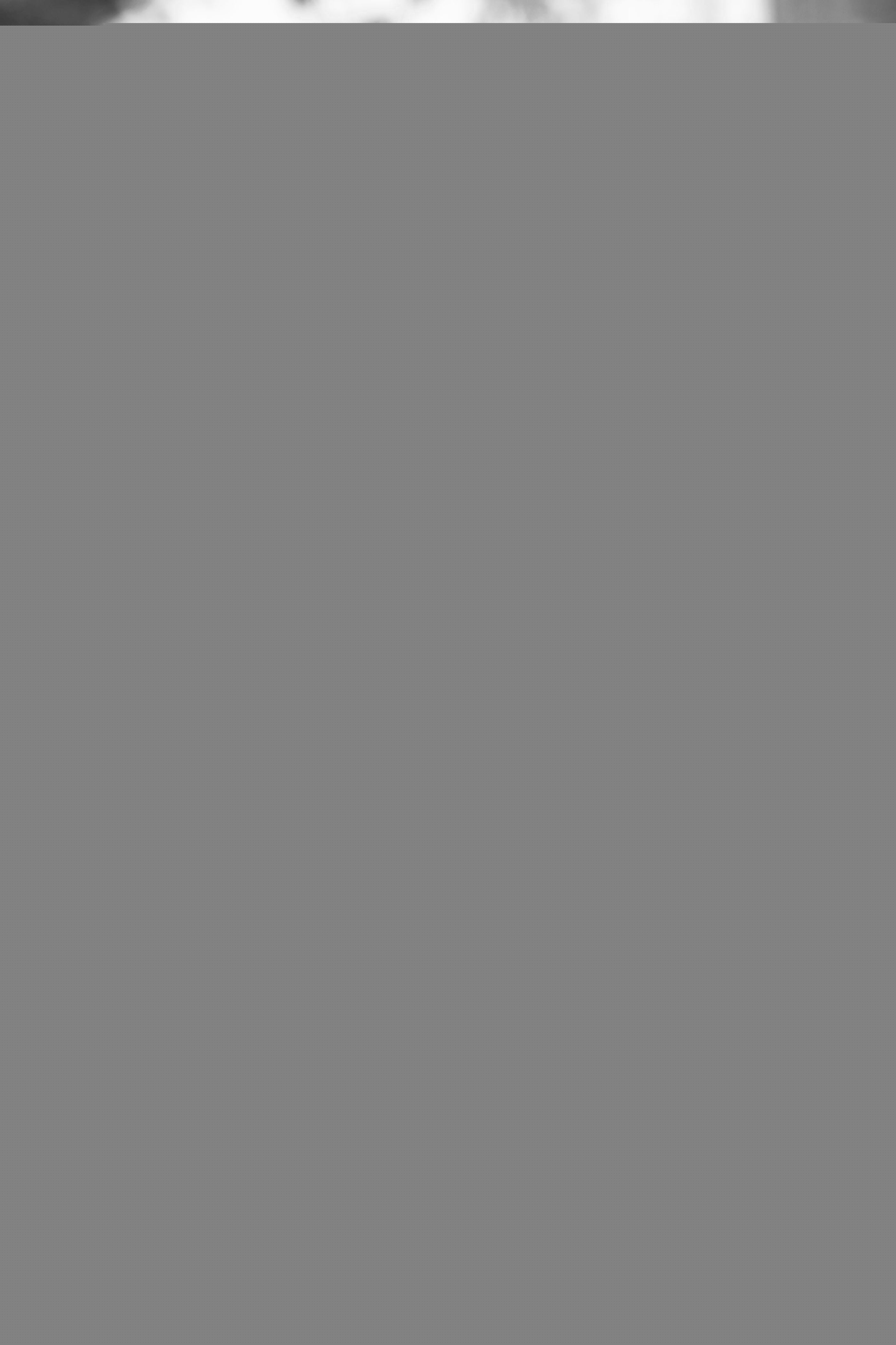 王永强最全 照片相册