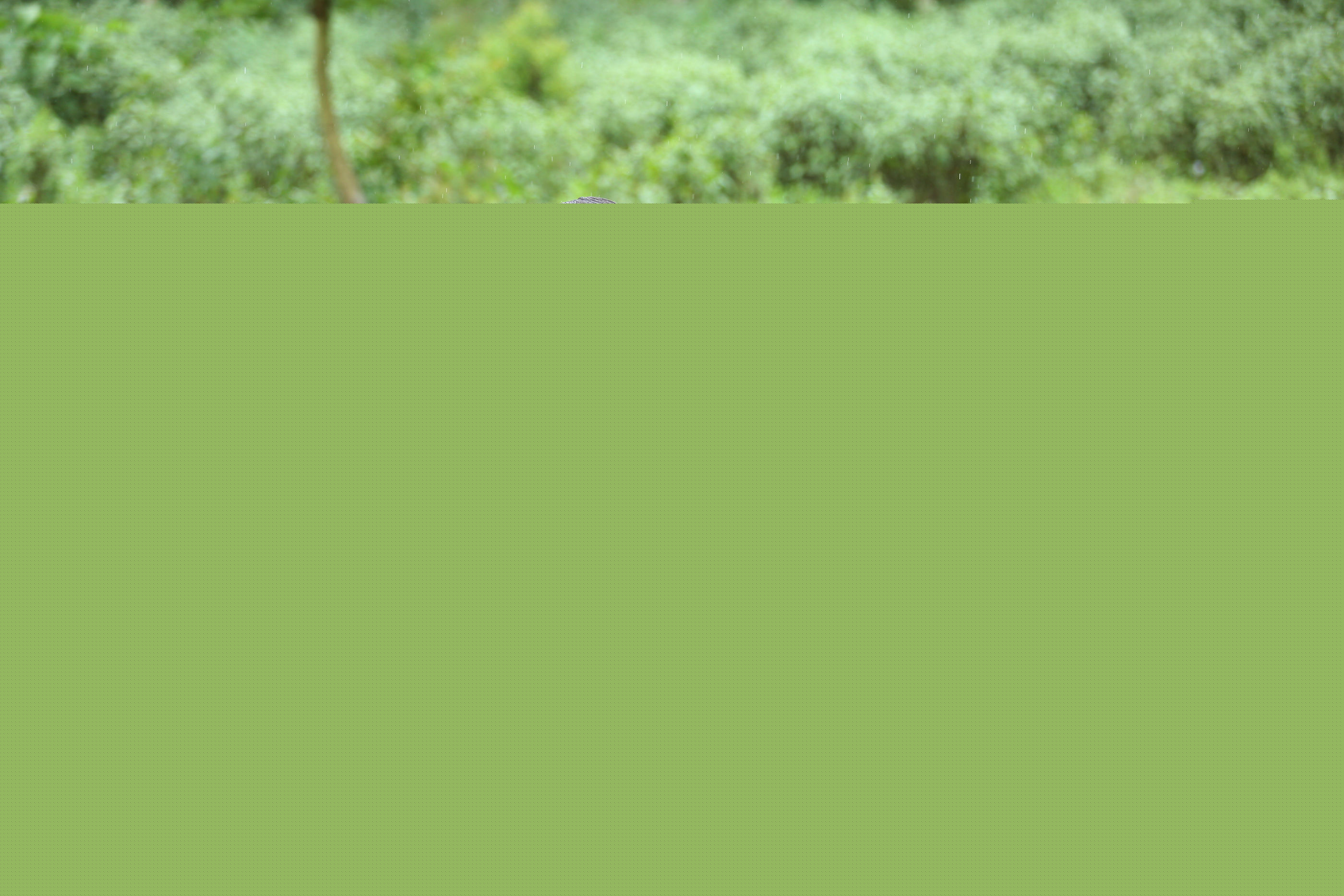 王永强如果蜗牛有爱情素颜照相册