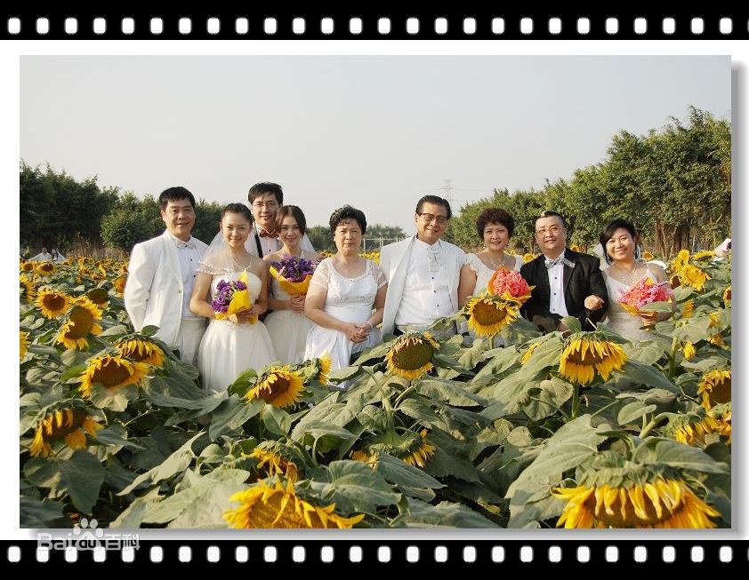 虎艳芬(eva)参加活动前后照片