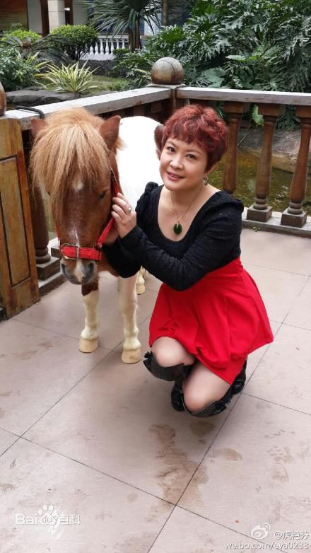 虎艳芬(eva)前后照片