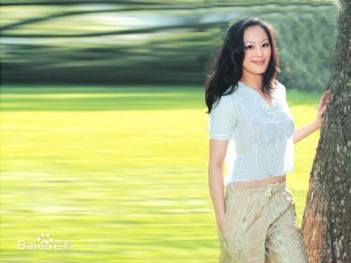 章小蕙(Teresa Cheung)章小慧个人影集前后照片