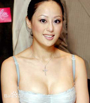 章小蕙(Teresa Cheung)章小慧个人影集前后照片