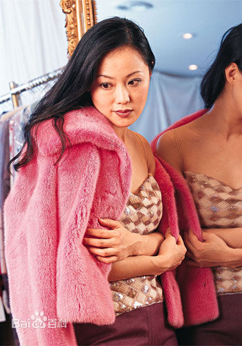 章小蕙(Teresa Cheung)章小慧个人影集前后照片