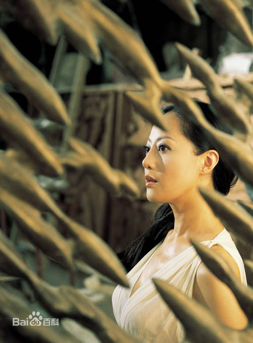 章小蕙(Teresa Cheung)经典老图素颜照相册