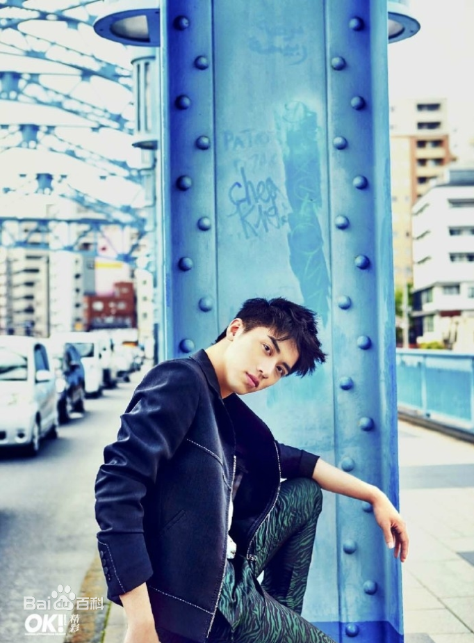 许魏洲(Timmy Xu、)OK!精彩图册